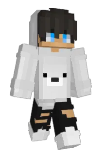 Dimi55 Minecraft avatar full body