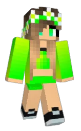 Custom render preview