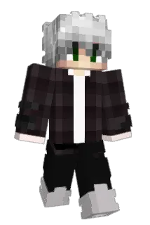 Diminn Minecraft avatar full body