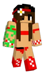 Custom render preview