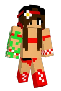 Dimpels Minecraft avatar full body