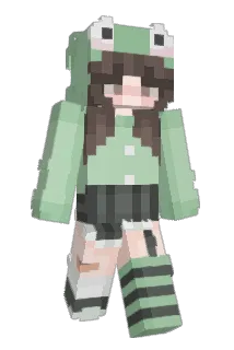 Dimplezx3 Minecraft avatar full body