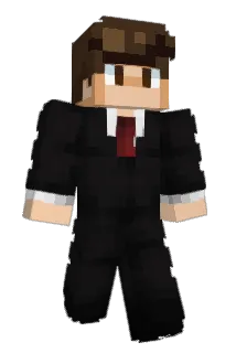 Dimus9311 Minecraft avatar full body