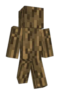 DinMD Minecraft avatar full body