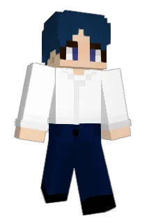 DinShim Minecraft avatar full body