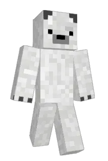 DingelBARRY Minecraft avatar full body