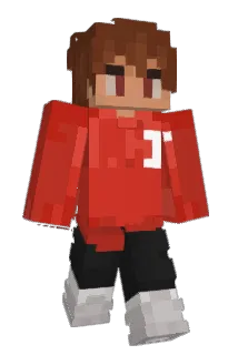 DinggoGG Minecraft avatar full body