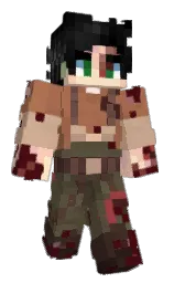 Custom render preview