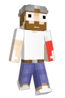 Dingledoller Minecraft avatar full body
