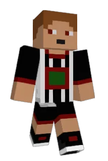 Dingmater Minecraft avatar full body