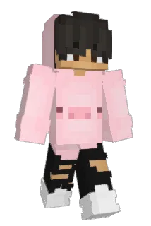 DingoFrame Minecraft avatar full body