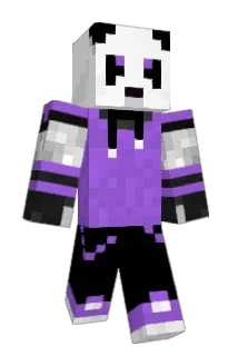 DingoHunter Minecraft avatar full body