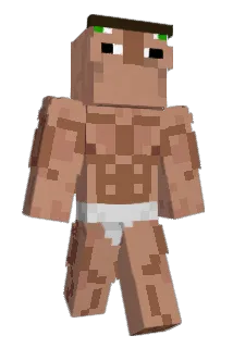 Dingus Minecraft avatar full body