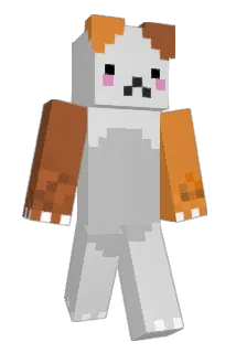 DingusLauncher43 Minecraft avatar full body