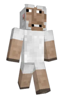 Dingus_s Minecraft avatar full body