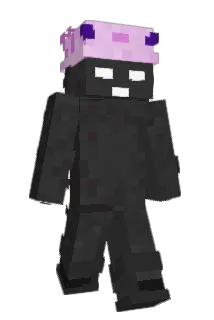 Dinjko Minecraft avatar full body