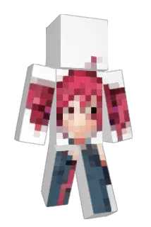 Dinners4Sinners Minecraft avatar full body