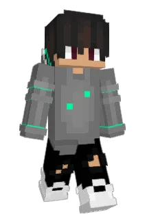 Dins1337 Minecraft avatar full body