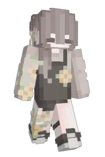 Dip69 Minecraft avatar full body