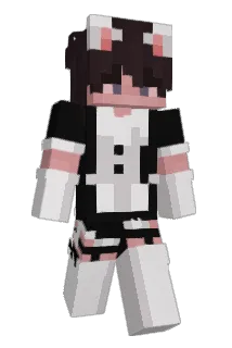 DipThiccc Minecraft avatar full body