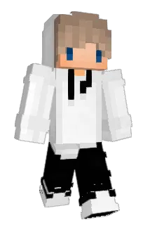 Diplomatics Minecraft avatar full body