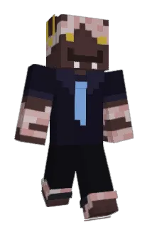 Diploop Minecraft avatar full body