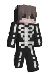 DipperG Minecraft avatar full body