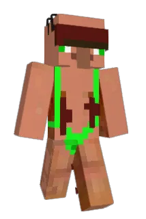Dippmix Minecraft avatar full body