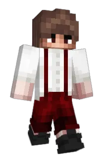 Dipwit Minecraft avatar full body