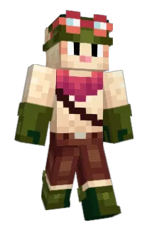 DireWolf33 Minecraft avatar full body