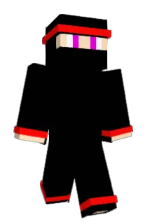 Direlyss Minecraft avatar full body