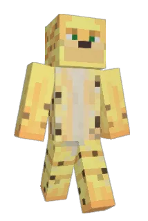 DirtLegend Minecraft avatar full body