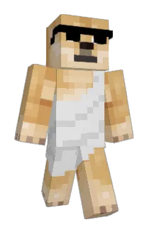 DisTyncts Minecraft avatar full body