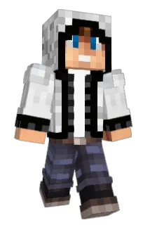 Disallusion Minecraft avatar full body