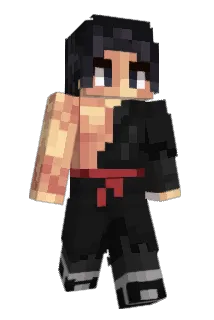 Discdore Minecraft avatar full body