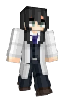 Discipliner Minecraft avatar full body