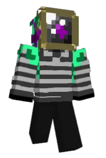 DiscoFox7645_ Minecraft avatar full body