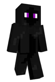 DiscoMeercat Minecraft avatar full body