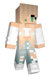 DiscoVis Minecraft avatar full body