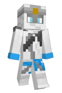 Discodalmation09 Minecraft avatar full body