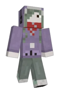 Disconfugalated Minecraft avatar full body