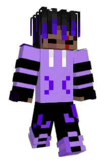 Discopole Minecraft avatar full body