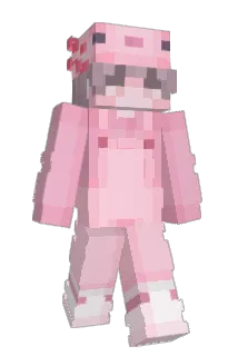 Disected Minecraft avatar full body