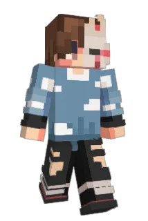 Disgraft Minecraft avatar full body