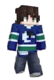 Disguste Minecraft avatar full body