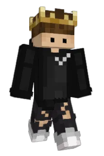 Disqplay Minecraft avatar full body