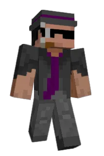 Disse Minecraft avatar full body