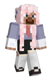 DistantNPC Minecraft avatar full body