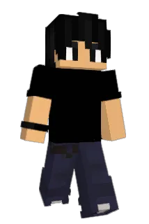 Distowin Minecraft avatar full body