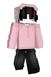 Distraido Minecraft avatar full body